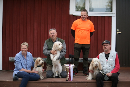 Kalajoki Aura Voi 1